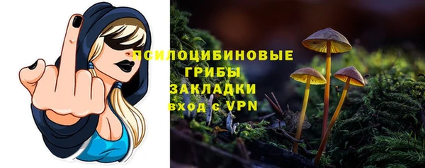 PSILOCYBIN Бородино